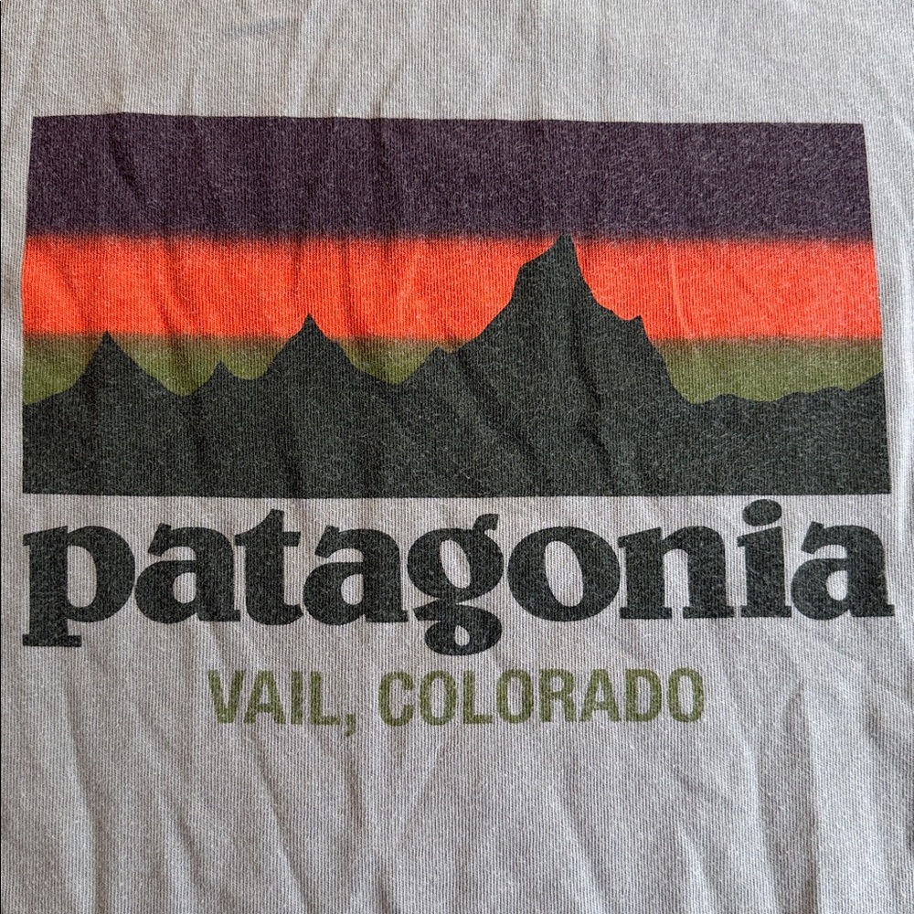 Patagonia Mountain Logo Graphic T-Shirt Men’s Gray Short Sleeve Outdoor Tee S
